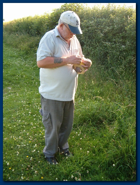 450x599 pixels (176K)